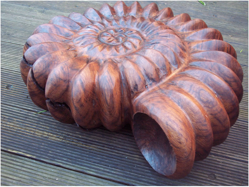 picture of ammonite carving
