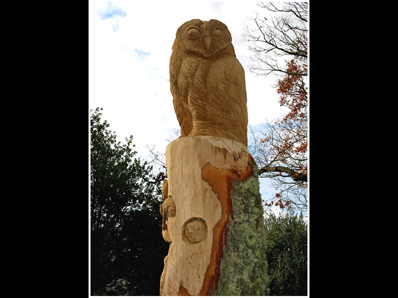 picture of cragside carving