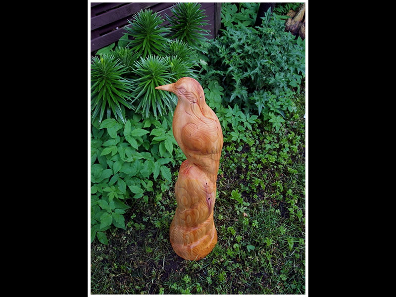 picture of finch carving