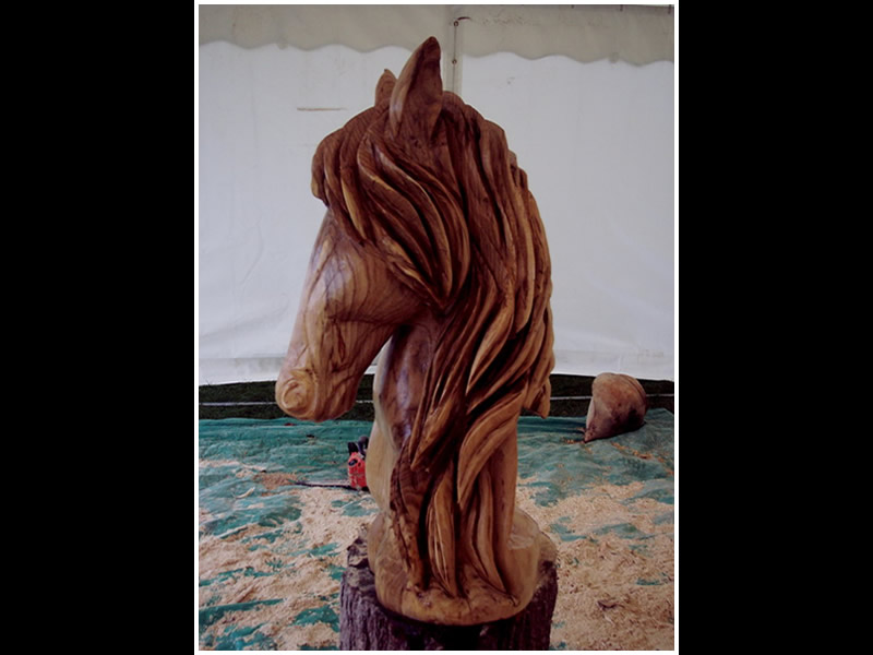picture of horse bust carving