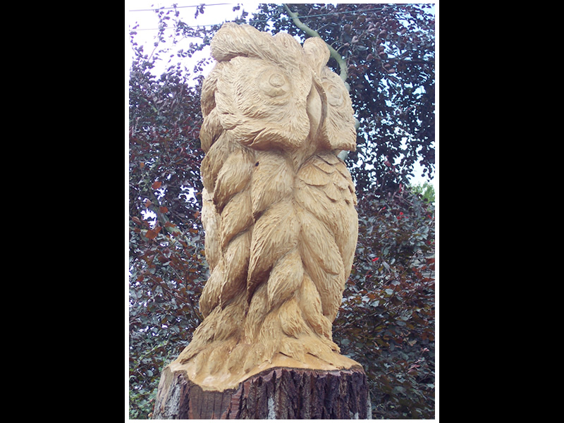 picture of king owl carving