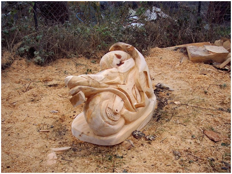 picture of ninja carving