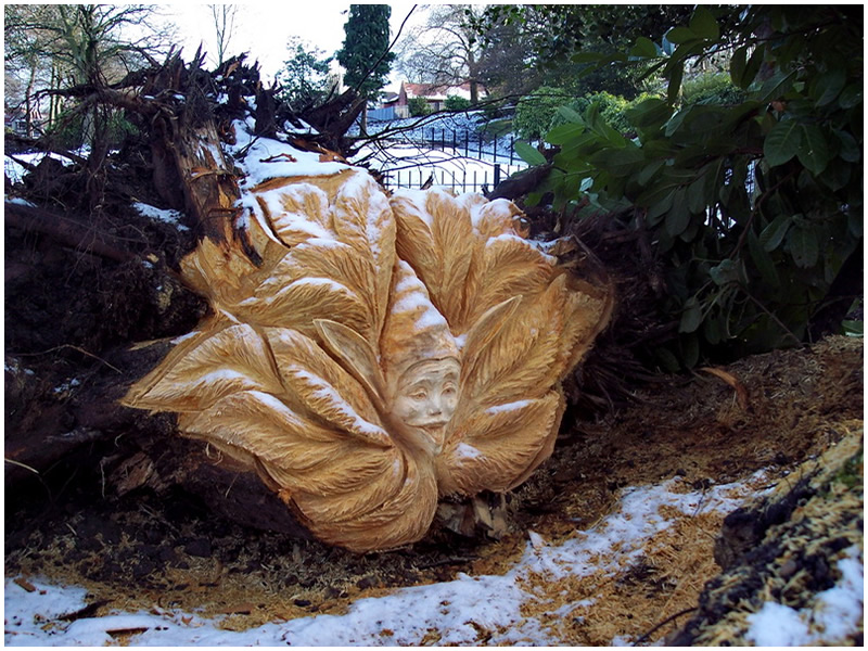 picture of pixie stump carving