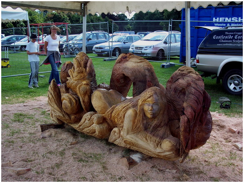 picture of tatton carving