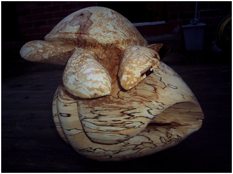 picture of turtle carving