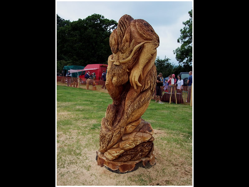 picture of woodfest
